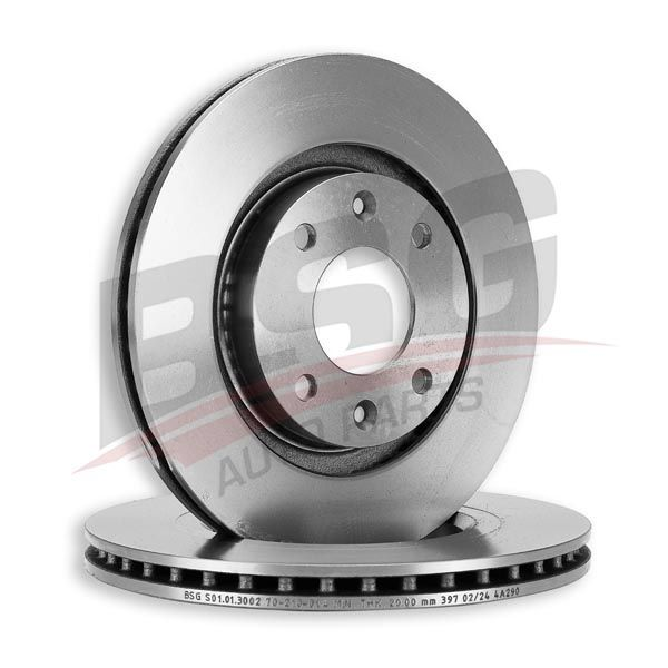 ÖN FREN DİSKİ TAKIM 266mm PEUGEOT 206 207 307 301 208 PARTNER (BSG)